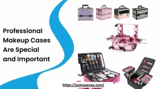 What Makes Different Professional Makeup Cases Special and Important