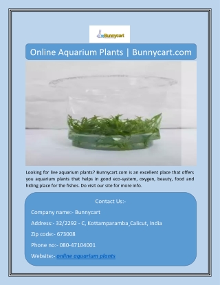 Online Aquarium Plants | Bunnycart.com