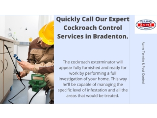 Quickly Call Our Expert Cockroach Control Services in Bradenton, Florida.