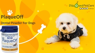 Buy PlaqueOff Dental Powder For Dogs Online | DiscountPetCare