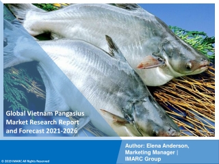 Vietnam Pangasius Market PDF 2021: Industry Overview, Growth Rate and Forecast