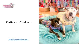 Top 5 Benefits Of Dressing Your Dog