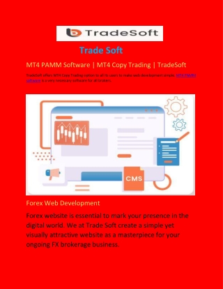 MT4 PAMM Software MT4 Copy Trading TradeSoft