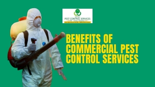 BENEFITS OF COMMERCIAL PEST CONTROL SERVICES