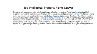 Top Intellectual Property Rights Lawyer