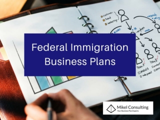 Federal Immigration Business Plans