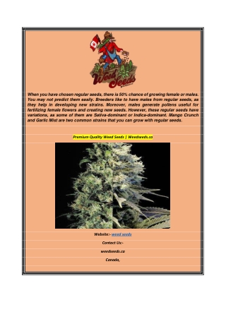 Premium Quality Weed Seeds Weedseeds.ca