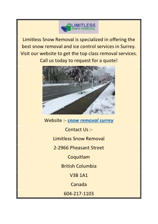 Best Snow Removal Services in Surrey