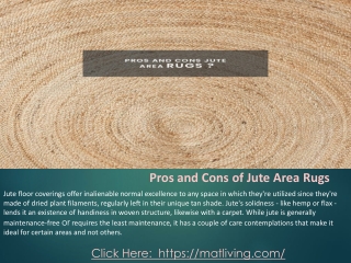 Buy Best Jute Area Rugs in USA