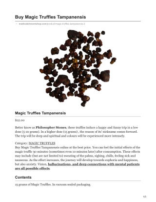 Magic Truffles Tampanensis