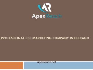 Professional PPC Marketing Company in Chicago - Apexreach.net