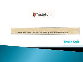Multi Level Plugin MT5 Social Trader MT5 PAMM Software