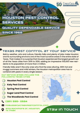 Houston Mouse Control | Houston Termite Control