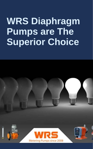 WRS Diaphragm Pumps are The Superior Choice