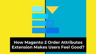 How Magento 2 Order Attributes Extension Makes Users Feel Good?