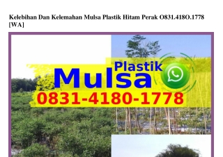 Kelebihan Dan Kelemahan Mulsa Plastik Hitam Perak Ô8౩l.Ꮞl8Ô.lᜪᜪ8[WhatsApp]