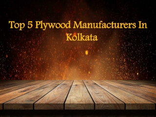 Top 5 Plywood Manufacturers In Kolkata