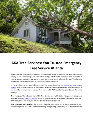 AKA Tree Services You Trusted Emergency Tree Service Atlanta