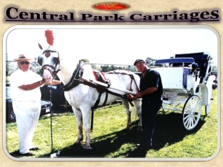 Central Park Carriages