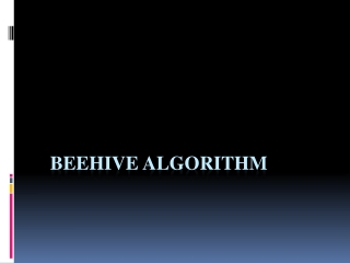Beehive Algorithm