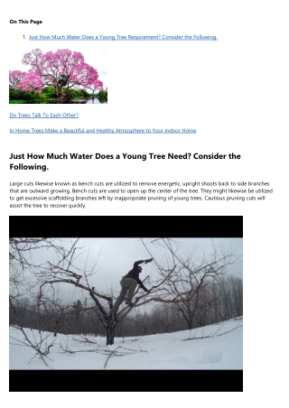 This Is Your Brain on arborist
