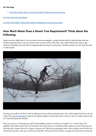 How to Outsmart Your Peers on tree removal