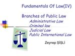 Fundamentals Of LawIV Branches of Public Law Administrative Law Criminal law Judicial Law Public International Law