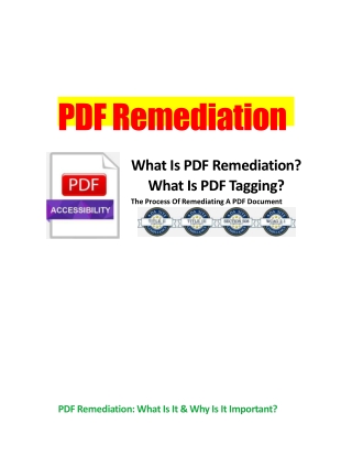 PDF Remediation