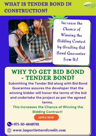Infographics by Bronze Wing Trading: What is Tender Bond