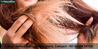 Five Best Natural and Organic Conditioners