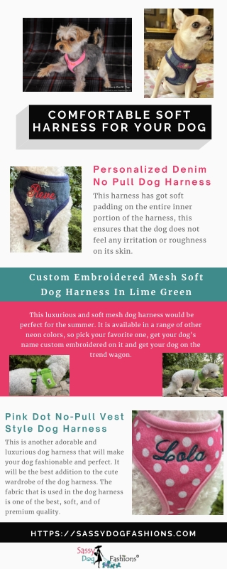 Comfortable Soft Harness For Your Dog