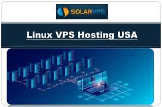 Linux VPS Hosting USA