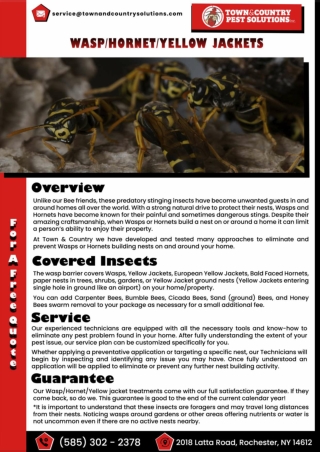 pest inspection rochester | Buffalo Wildlife Control
