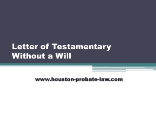 Letter of Testamentary Without a Will - Houston-probate-law.com