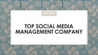 Top social media Management Company