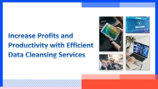 Increase Profits and Productivity with Efficient Data Cleansing Services
