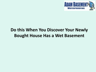 Do this When You Discover Your Newly Bought House Has a Wet Basement