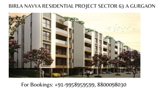 Birla Navya Sector 63 A Apartment Price,  Aditya Birla Group new phase launch da