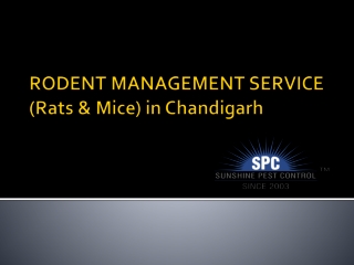 Rodent management service in Chandigarh