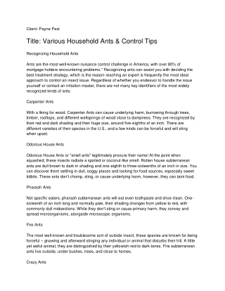 Various Household Ants & Control Tips_ Payne Pest