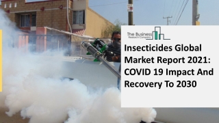 Global Insecticides Market Opportunities And Strategies To 2030