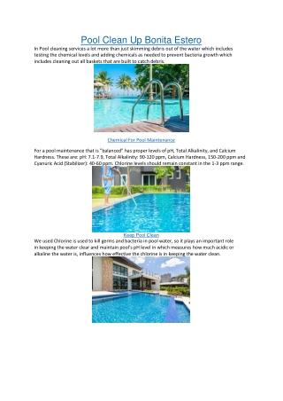 Pool Clean Up Bonita Estero