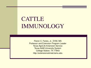 CATTLE IMMUNOLOGY