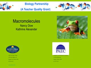 Macromolecules Nancy Dow Kathrine Alexander