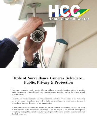 Role of Surveillance Cameras Belvedere: Public, Privacy & Protection