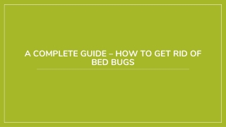 Tips on How to get rid of Bed Bugs
