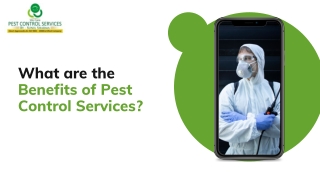 What are the Benefits of Pest Control Services