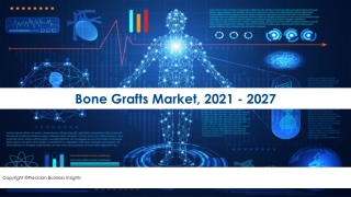 Bone Grafts Market Major Segments and Future Opportunity Assessment