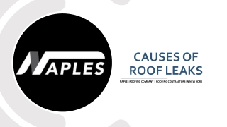 Causes of Roof Leaks | Naples-roofing