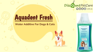 Buy Aquadent FRESH Water Additive For Dogs & Cats Online | DiscountPetCare